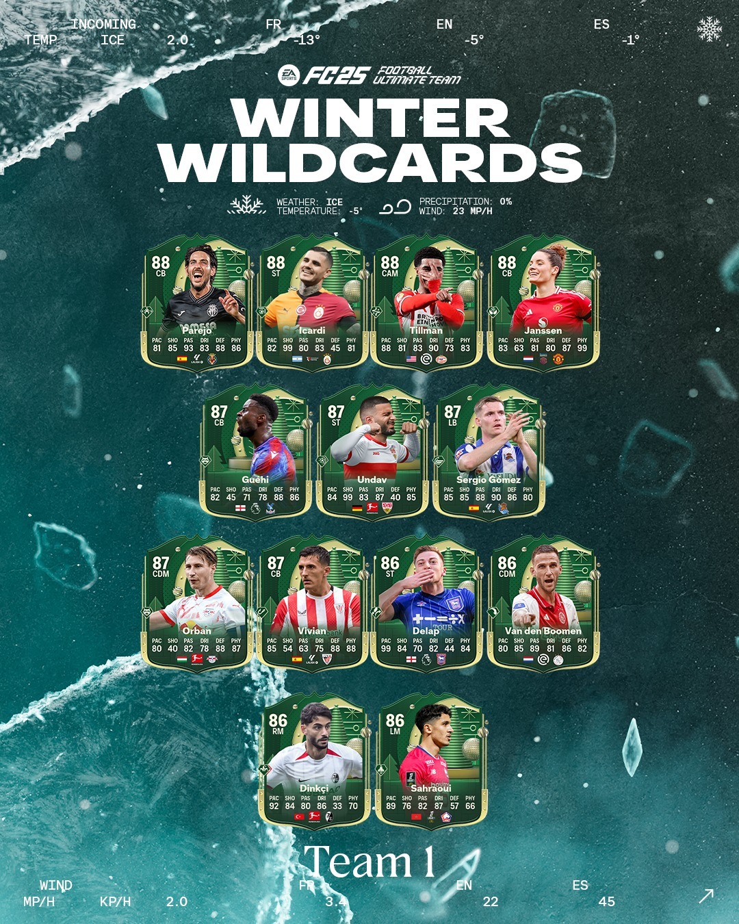 Winter Wildcards