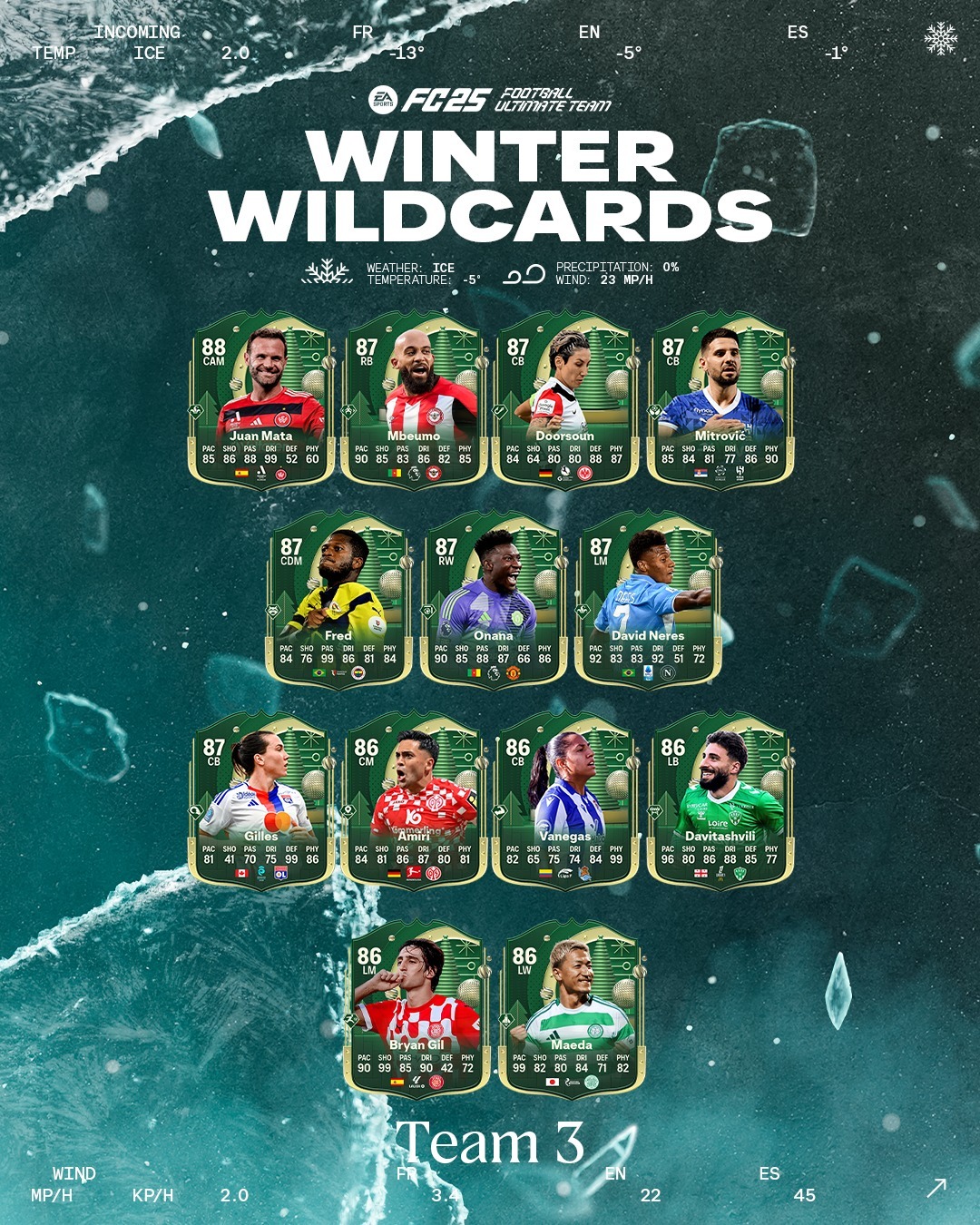 تیم سوم Winter Wildcards 