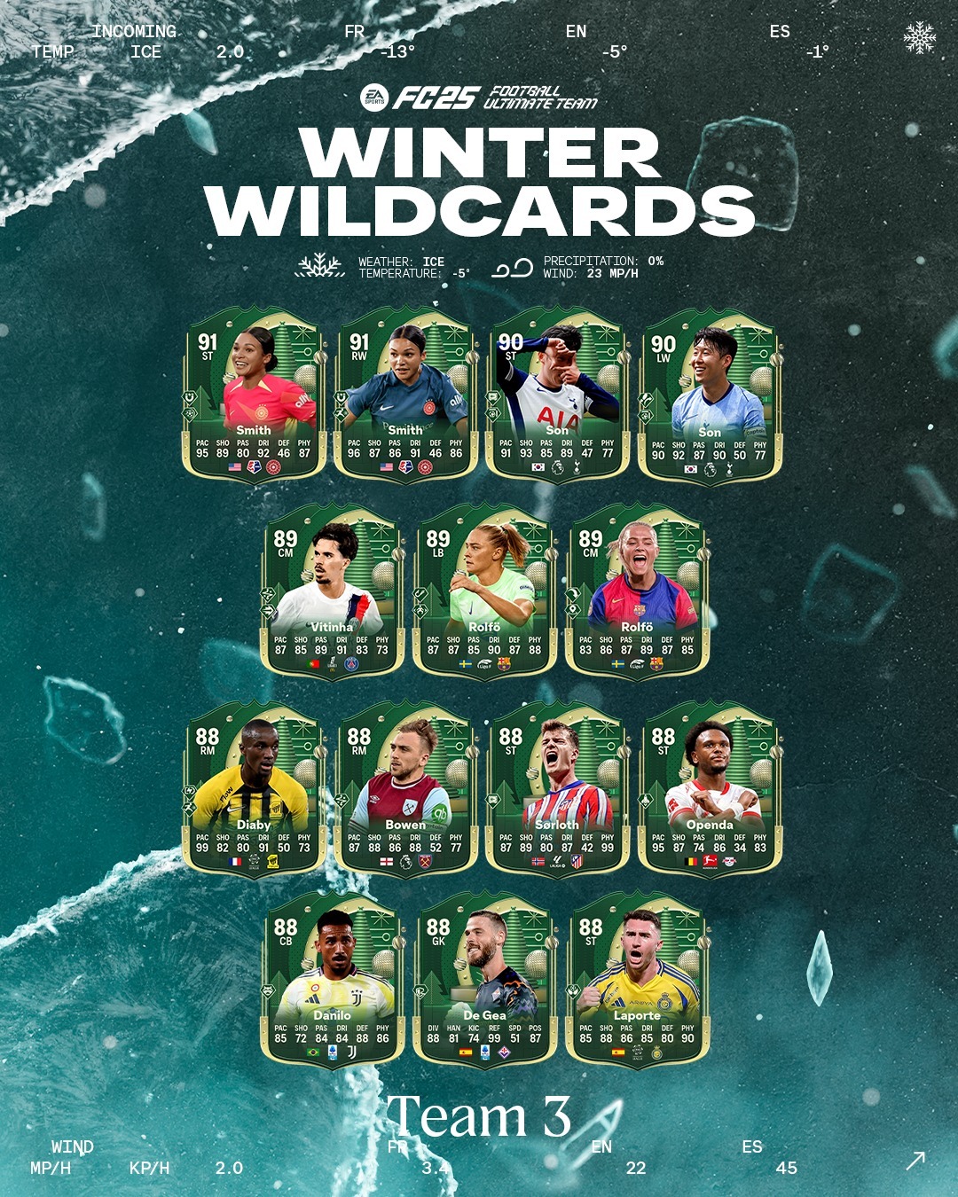 تیم سوم Winter Wildcards 